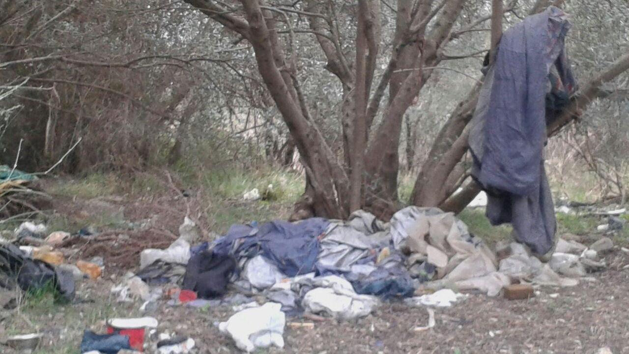 I rifiuti ammassati in un campo di ulivi a Pizzidimonte