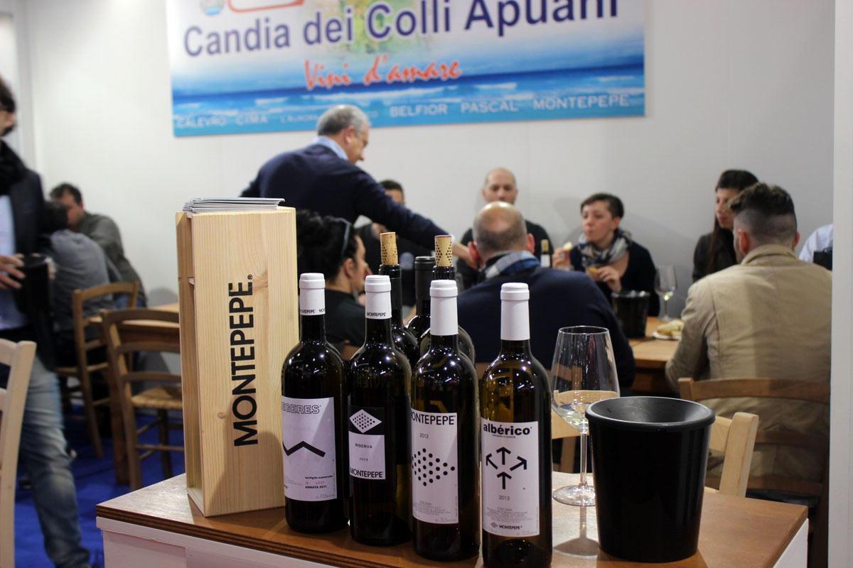 Alcuni vini prodotti nella provincia di Massa Carrara