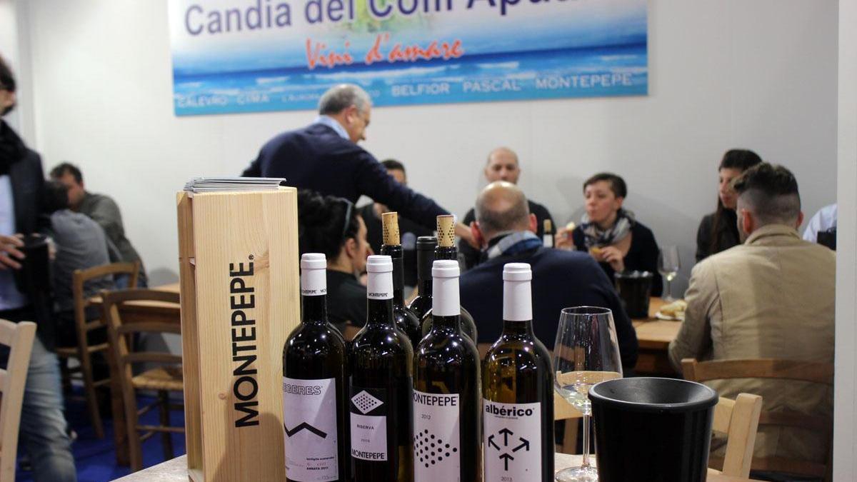 Alcuni vini prodotti nella provincia di Massa Carrara