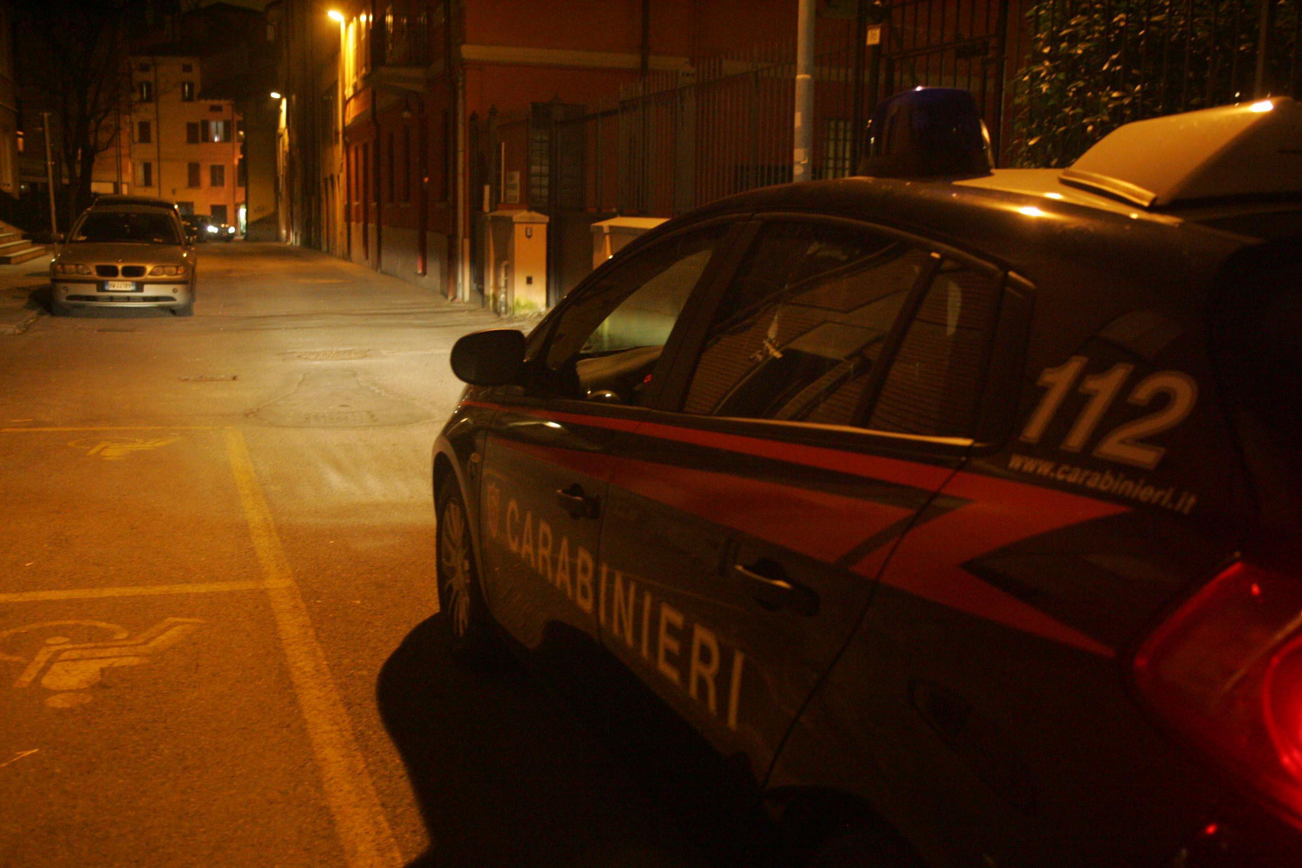 Raid di furti nella Bassa