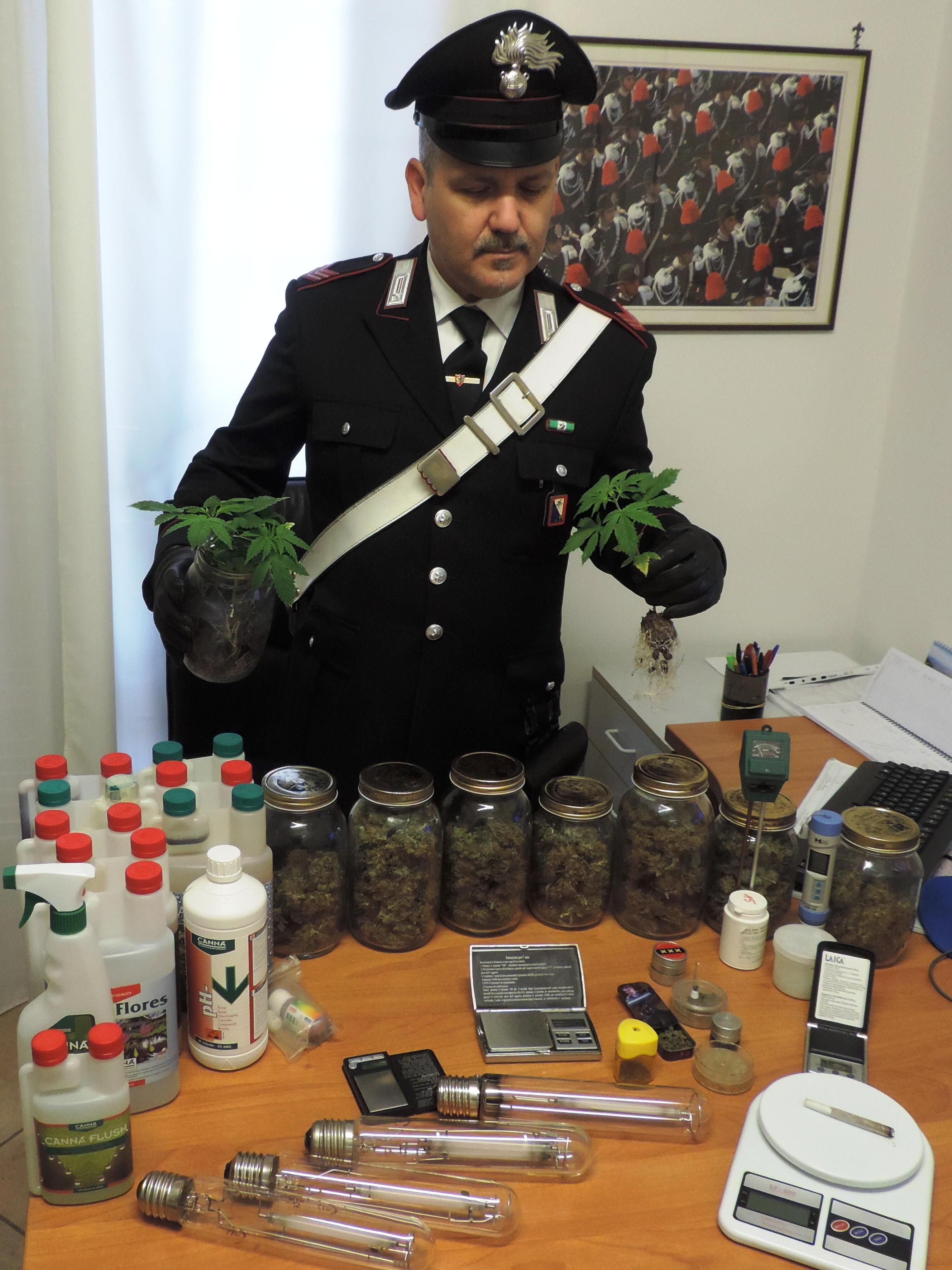 La droga sequestrata dai carabinieri