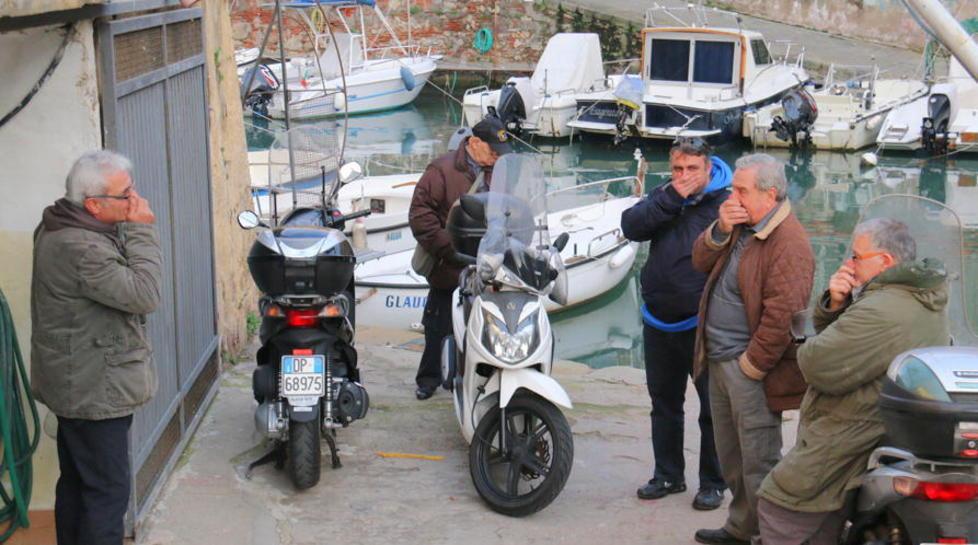Torna la nube maleodorante controlli in tribunale e asilo