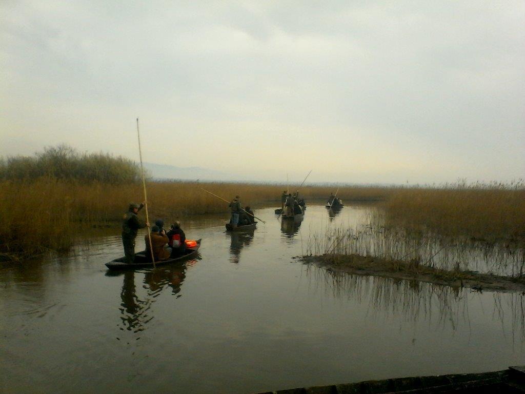Lungo la via Francigena in... barchino