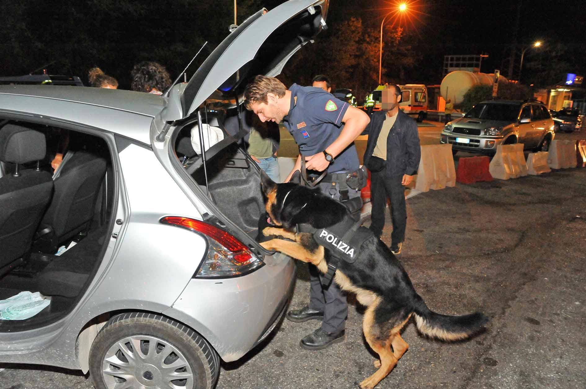 Cani antidroga