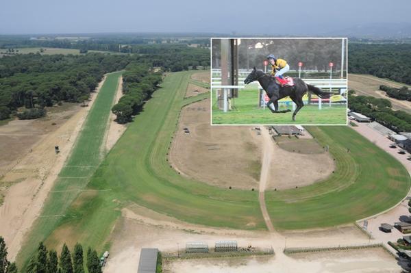 L'ippodromo pisano dall'alto e, nel riquadro, il vincitore dell'edizione 2014