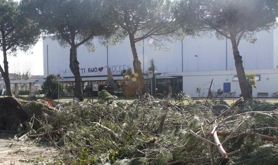 Cariparma finanzia i lavori al PalaForte