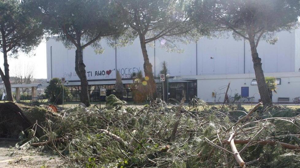 Cariparma finanzia i lavori al PalaForte