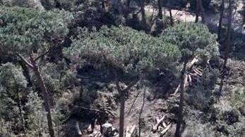 Versiliana di nuovo vivibile in estate