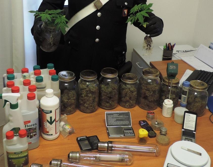Marijuana, l’artigiano torna libero 