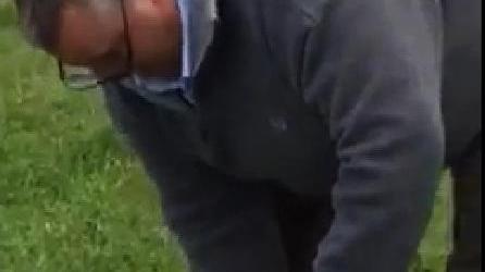 Libera il capriolo prigioniero della rete Il babbo diventa eroe