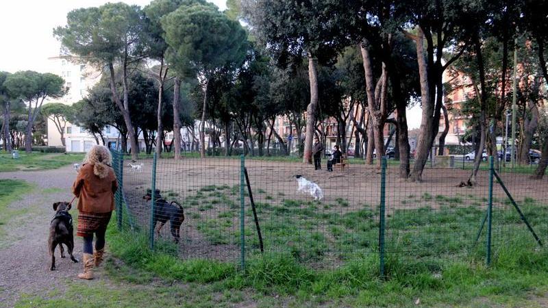 Il parco e il recinto per cani in via degli Etruschi (Marzi/Pentafoto)