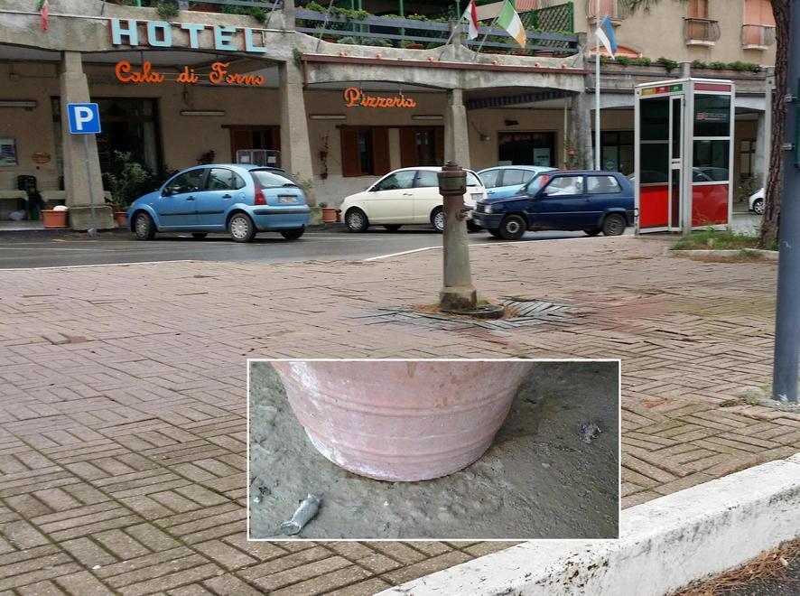 Due bandi in arrivo contro topi e zanzare 