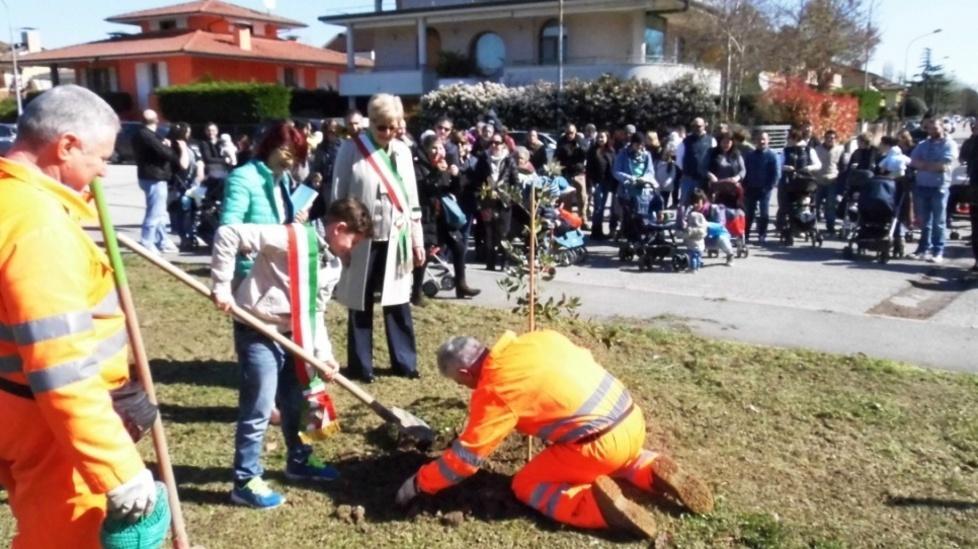 Codigoro più verde, 75 nuovi alberi