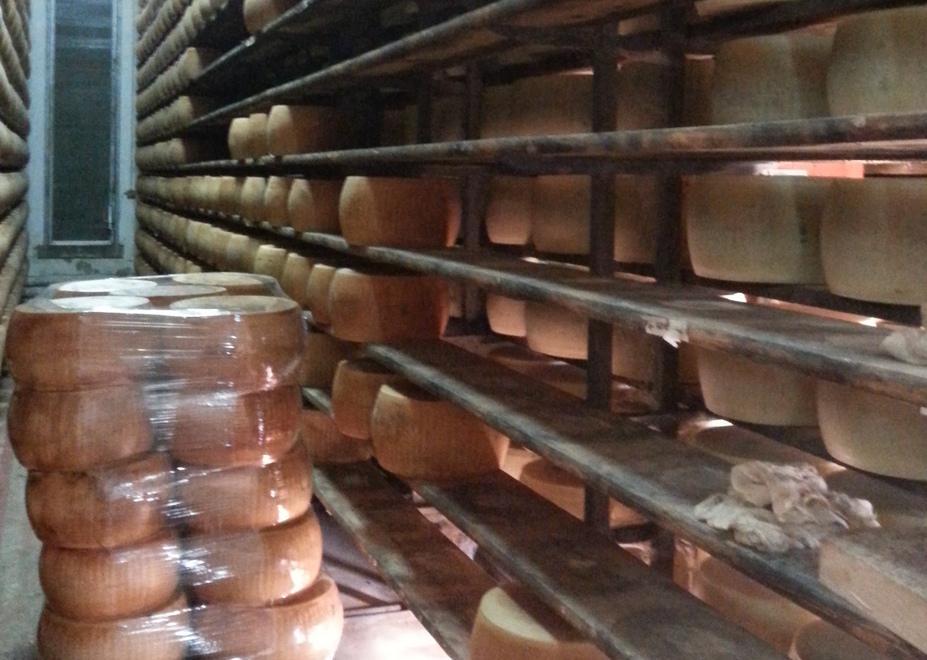 Rubano le forme e le perdono per strada 