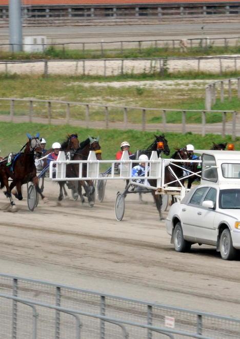 La Tris premio Califano chiude il marzo dell’ippodromo dei Pini