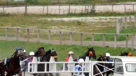 La Tris premio Califano chiude il marzo dell’ippodromo dei Pini