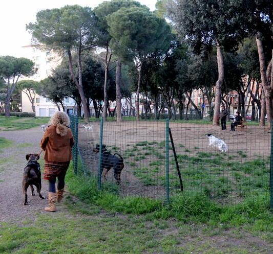 Azzannata al volto dal cane del fidanzato