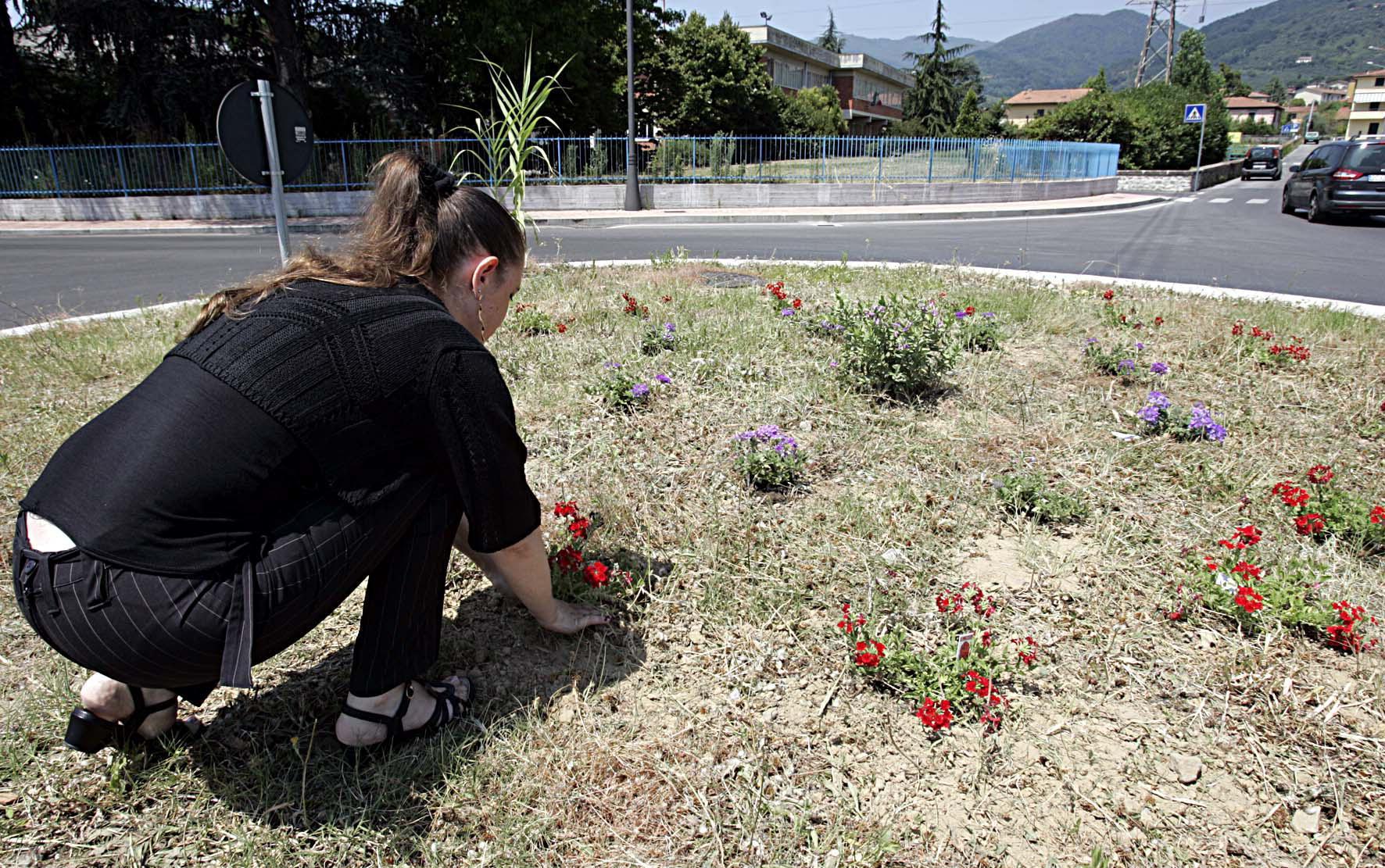 Cittadina pianta fiori in un'aiuola