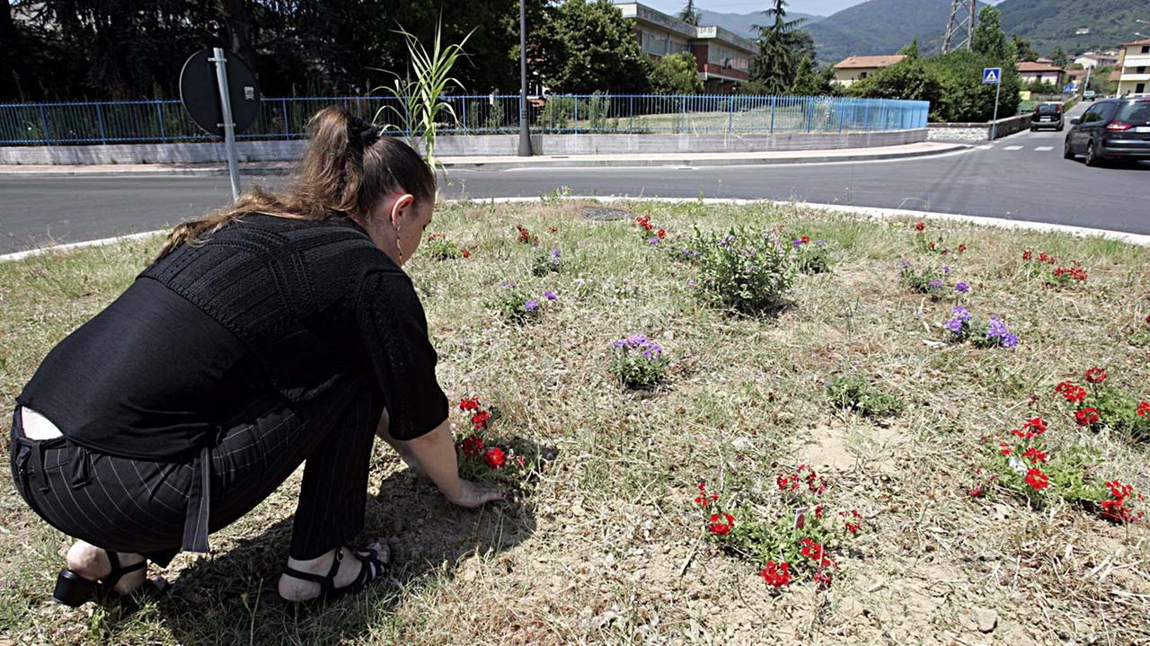 Cittadina pianta fiori in un'aiuola