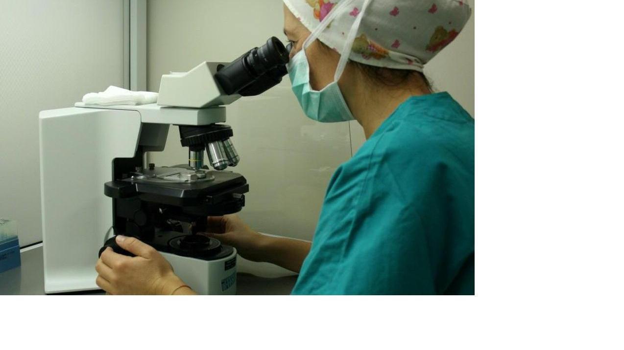 Medico al lavoro nel Centro di procreazione assistita del Versilia