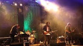 Uno dei concerti dei Marlene Kuntz