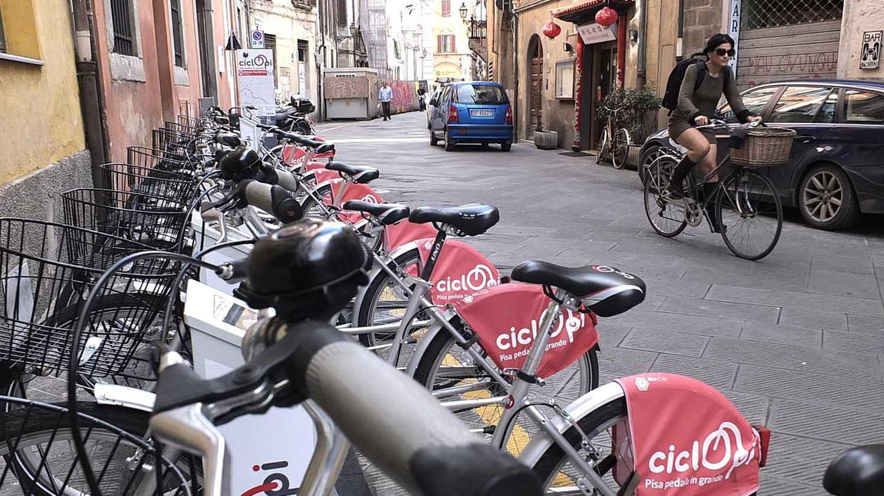 Le biciclette a noleggio di CicloPi