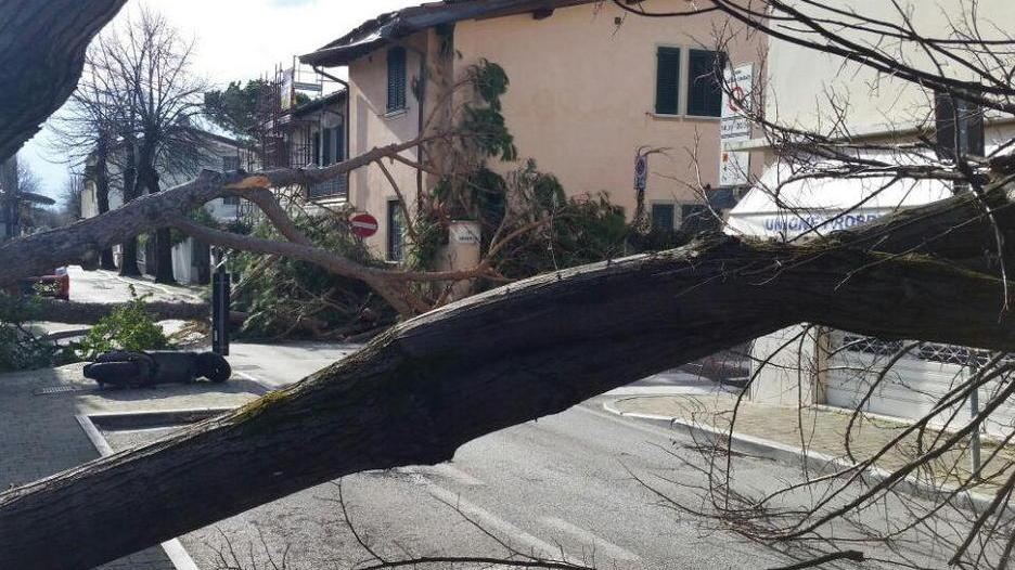 Tempesta: scoppia il caso delle consulenze gratuite