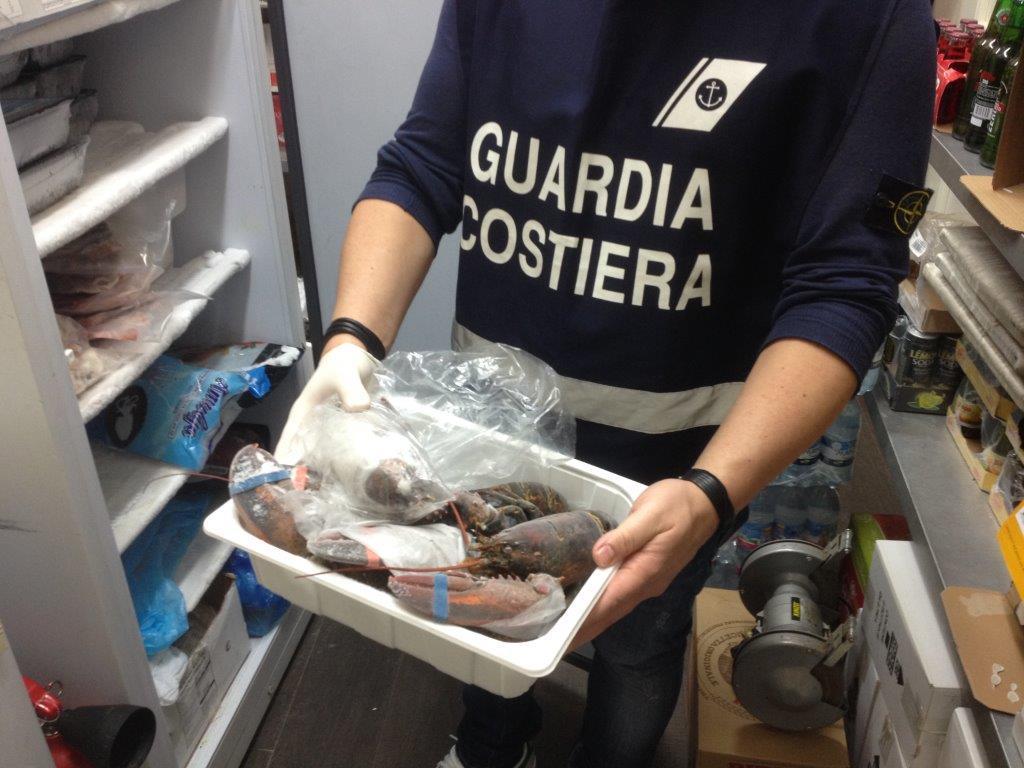 Il pesce sequestrato dalla Capitaneria di porto