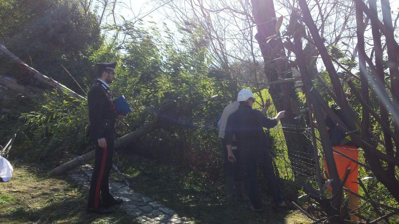 Operaio ucciso dall'albero abbattuto dal forte vento 