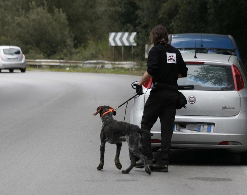 Usati anche i cani per setacciare l’area del delitto