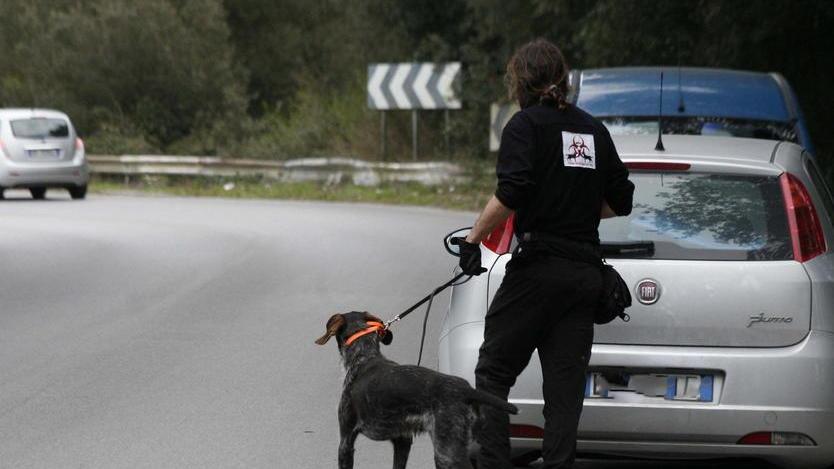 Usati anche i cani per setacciare l’area del delitto