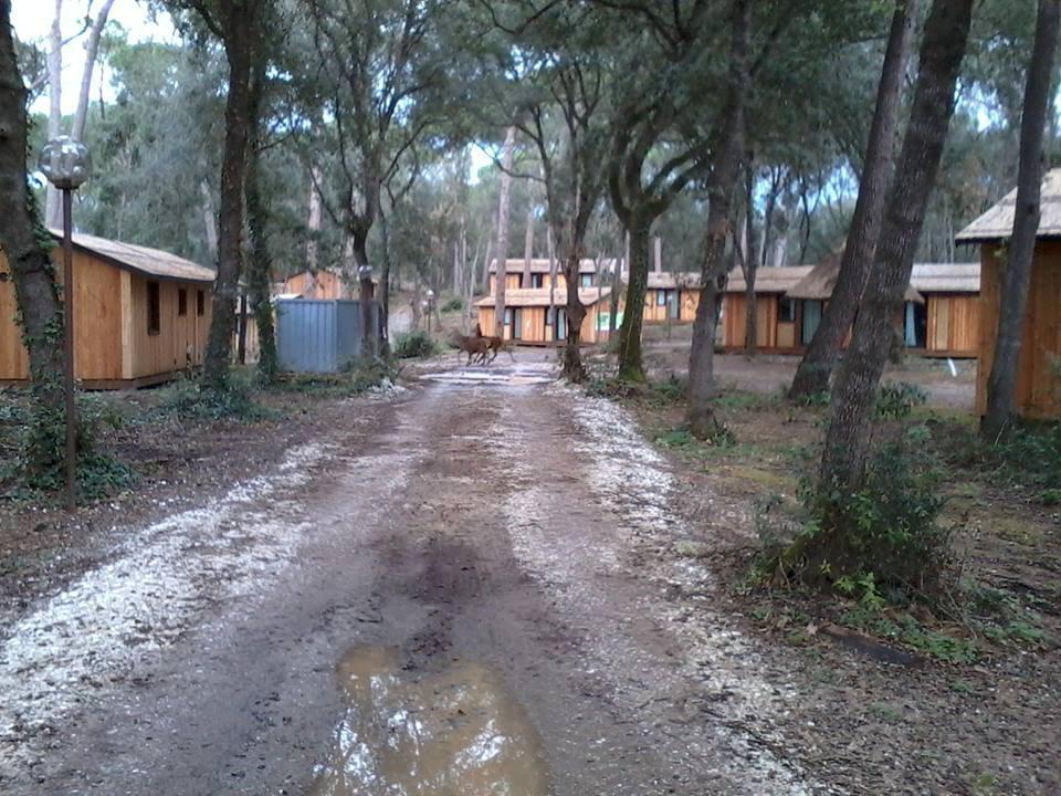 L'interno del Paradù