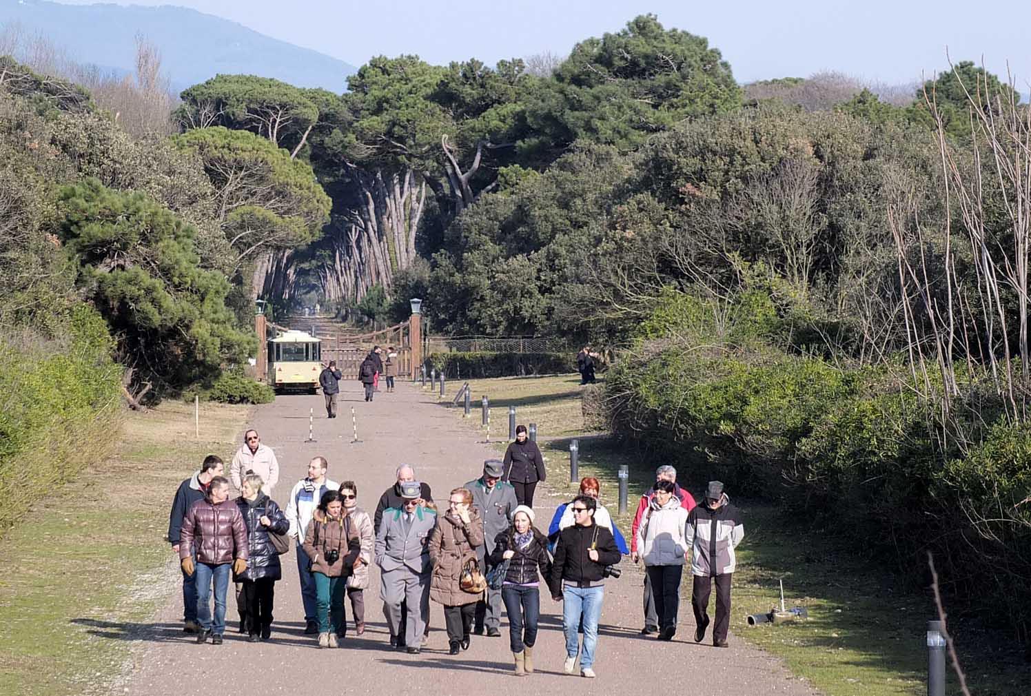 Una passeggita nel parco lungo un itinerario della Tenuta di San Rossore