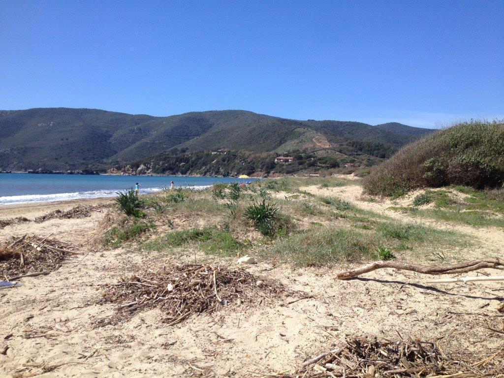 Le dune di Lacona