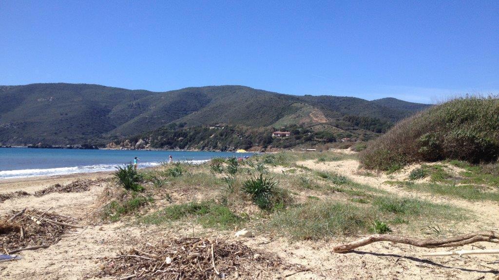 Le dune di Lacona