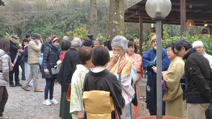 Settemila i visitatori alla mostra delle camelie