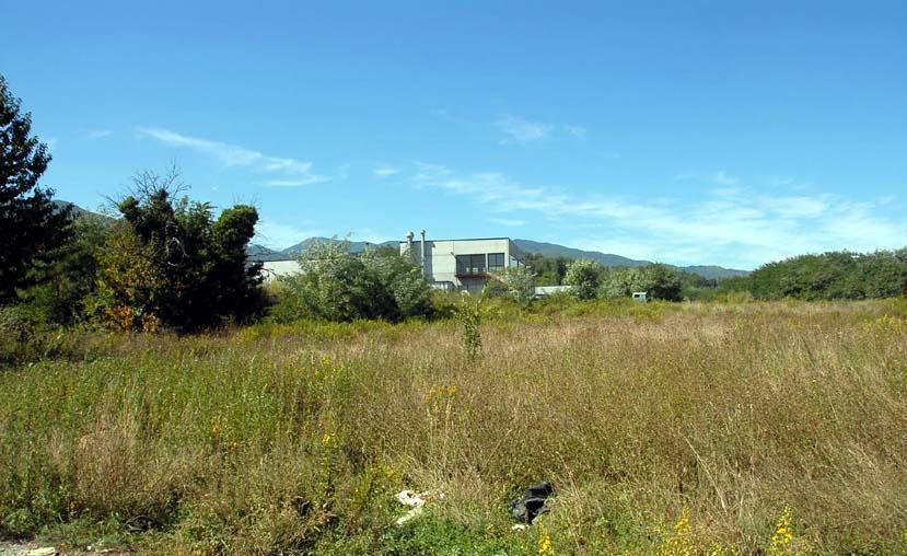 Biomasse, la Renovo non molla 