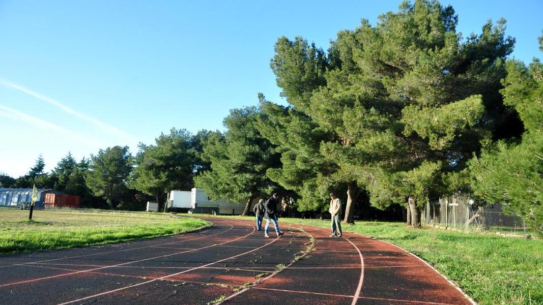 La pista di atletica di Cecina