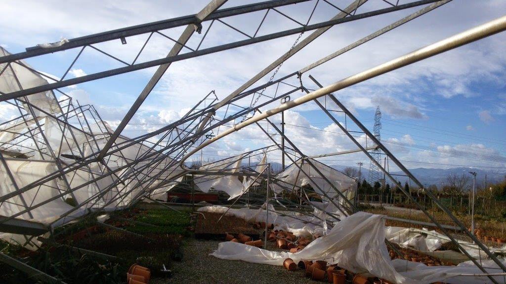 Una serra distrutta dal vento nella Piana pistoiese (foto Lorenzo Gori)