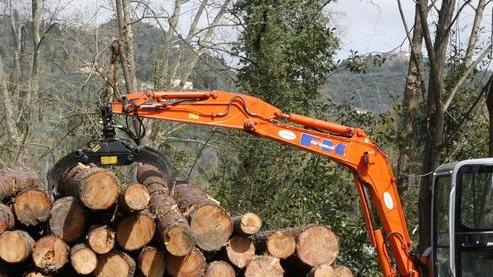 Trochi accatastati in un centro di raccolta allestito dopo la tempesta in Versilia