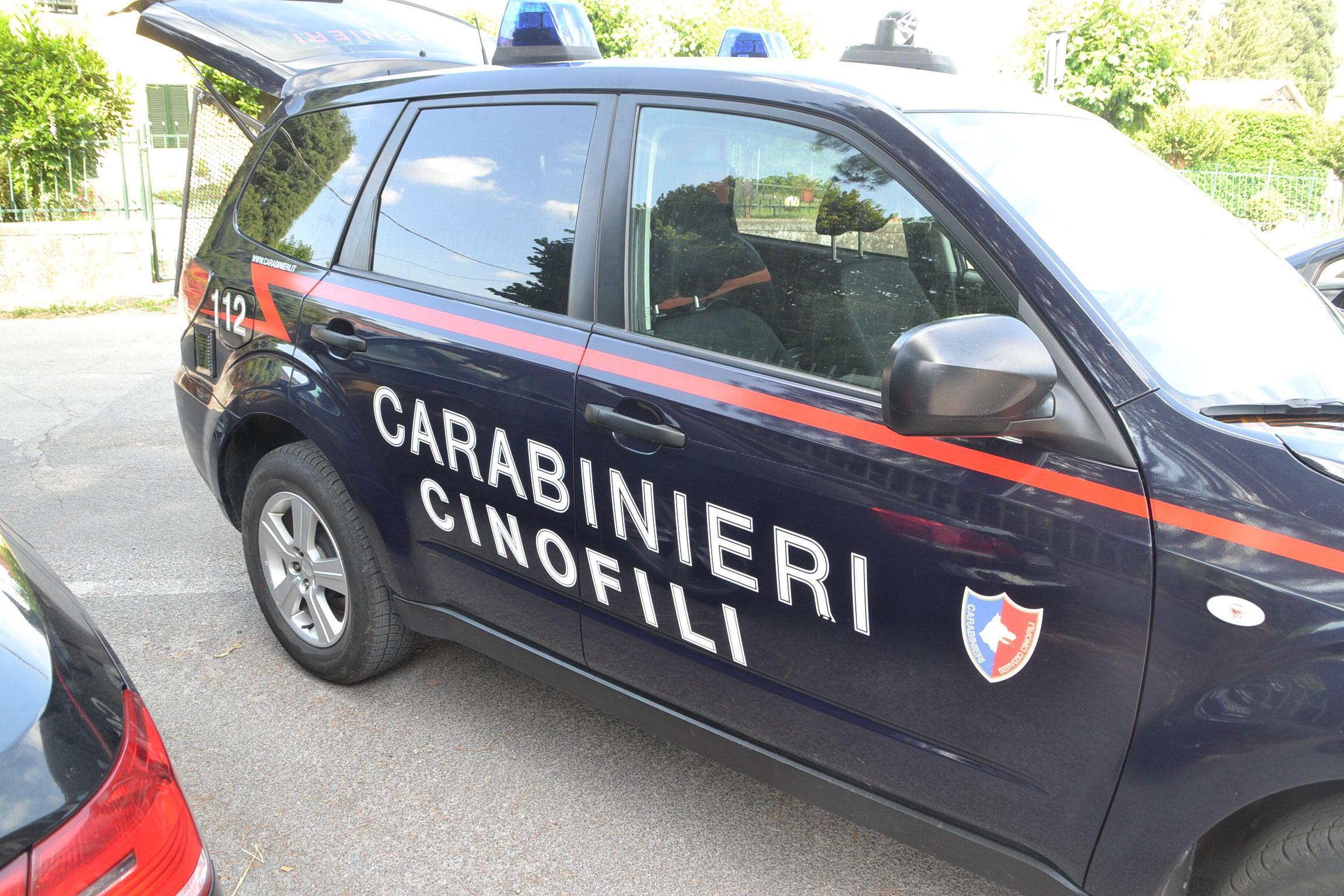 Un'auto dei carabinieri del Nucleo cinofili (foto d'archivio)