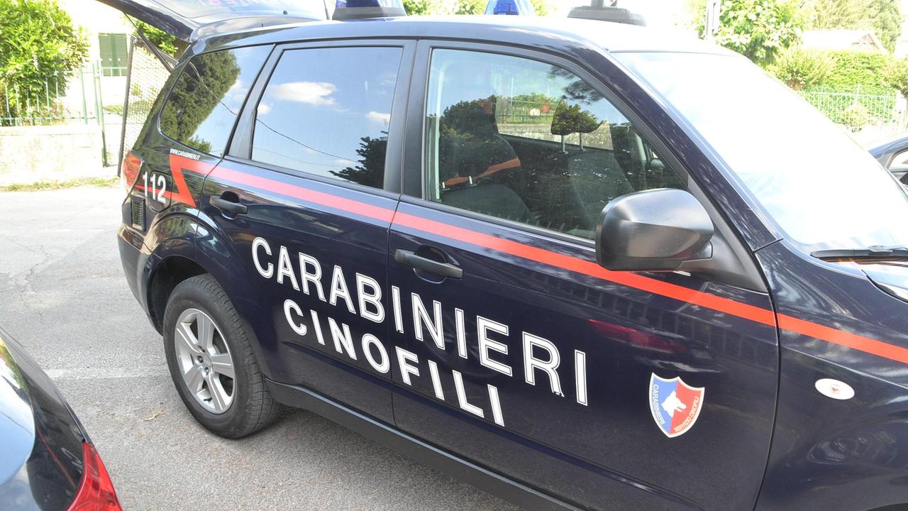 Un'auto dei carabinieri del Nucleo cinofili (foto d'archivio)