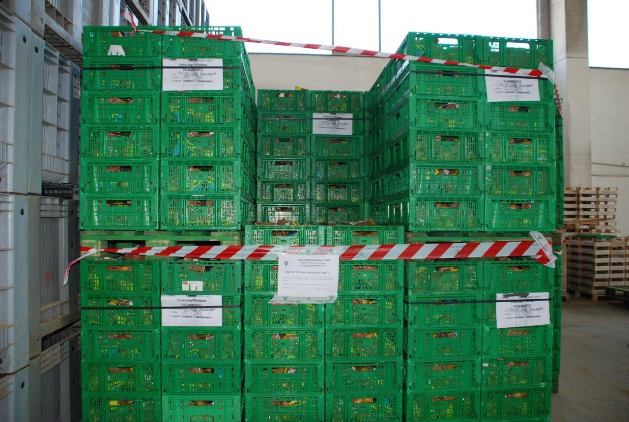 Le patate sequestrate dalla forestale