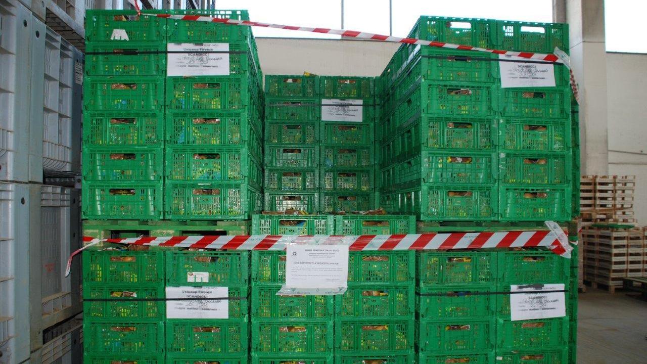 Le patate sequestrate dalla forestale