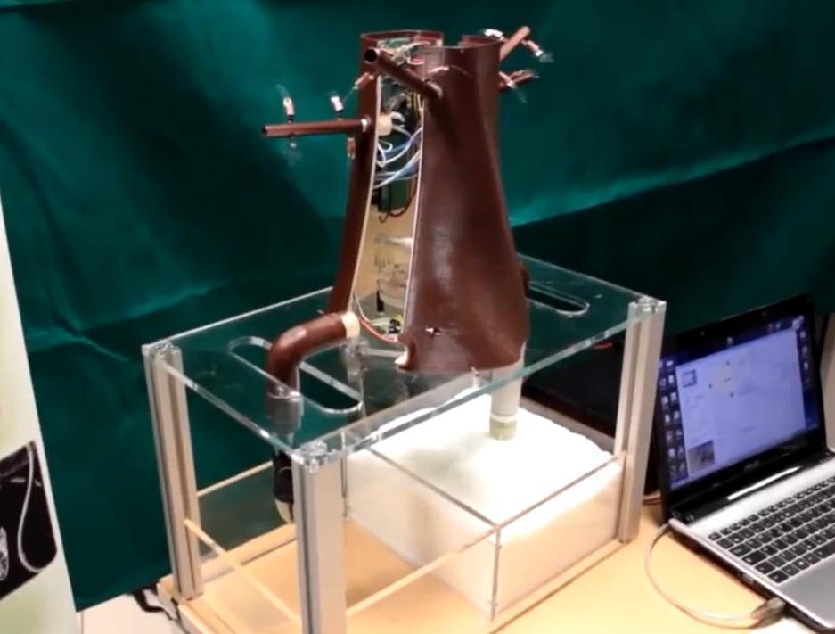 La pianta robot realizzata a Pontedera