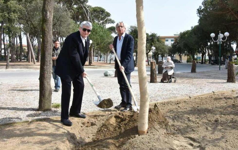 Una pianta di leccio per ripartire 