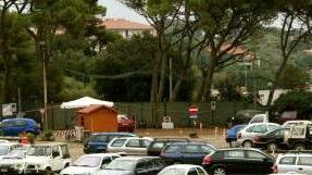 Parcheggio in pineta chi compra i posti? Indagine del Comune