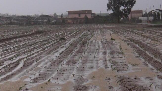 Protezione civile L’atteso piano verso l’approvazione