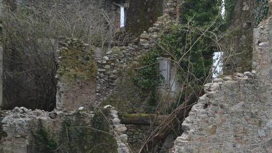 Lettera di Baccelli per lo stato di emergenza nazionale