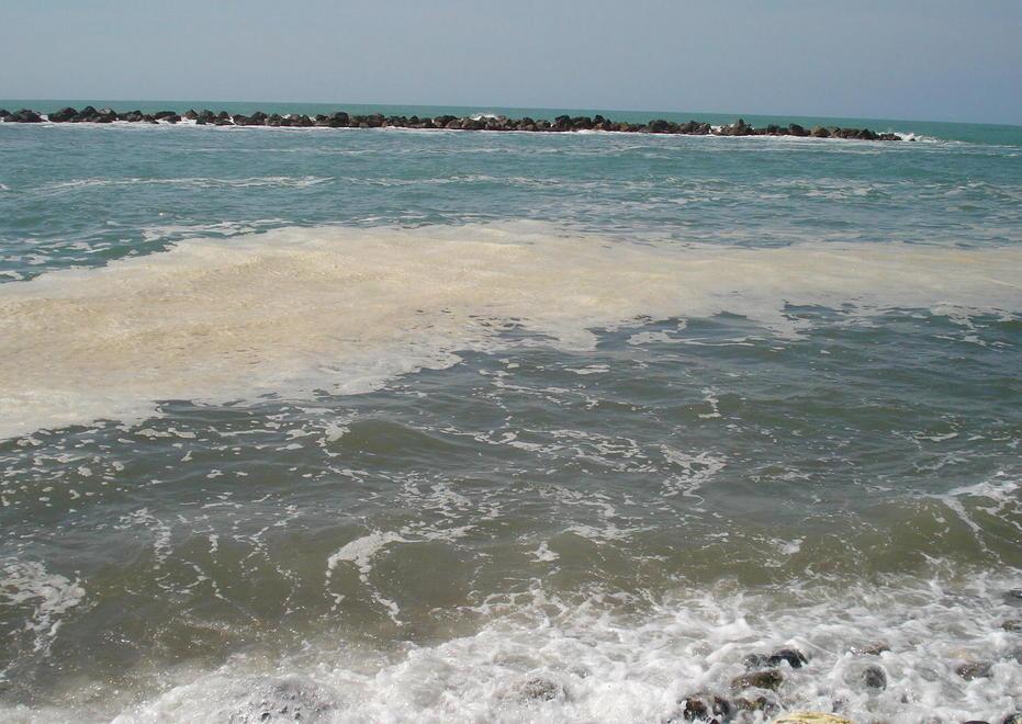 Schiuma marrone in mare, scatta la paura inquinamento